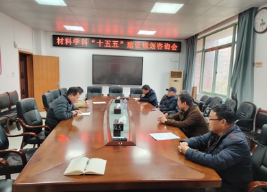 学院召开材料科学与工程学科“十五五”建设规划咨询会