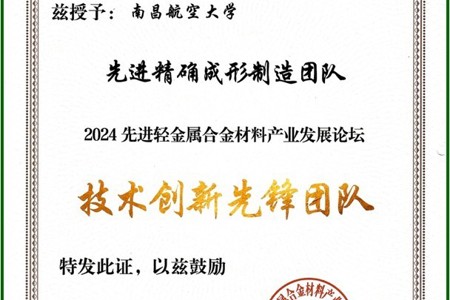 技术创新先锋团队证书